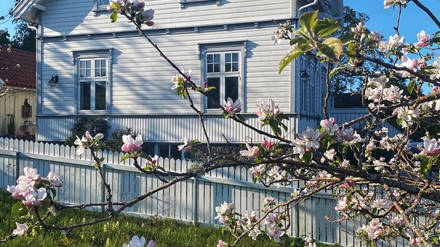 Velkommen til Hystadveien 136A