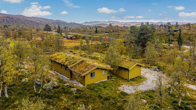 Hytta fremstår lavmælt der den ligger i skråningen med adkomst nedenfra.