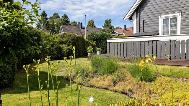 Lettstelt og velholdt hage med diverse beplantning.