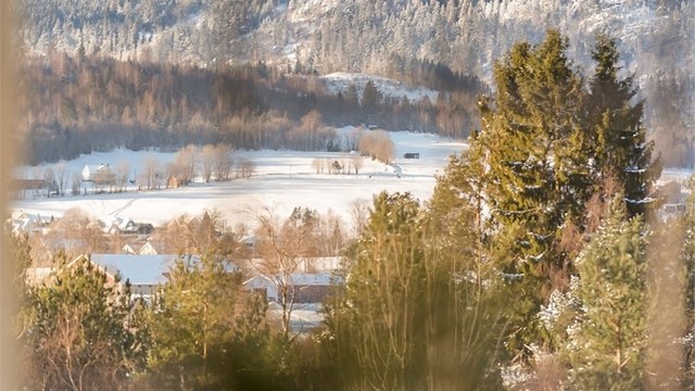 Utsikt mot skog og mark fra boligen.