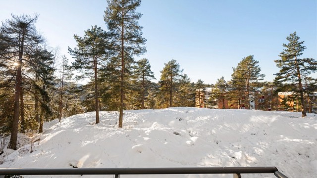 Beliggenheten er skjermet og idyllisk, omkranset av trær og naturskjønne omgivelser.