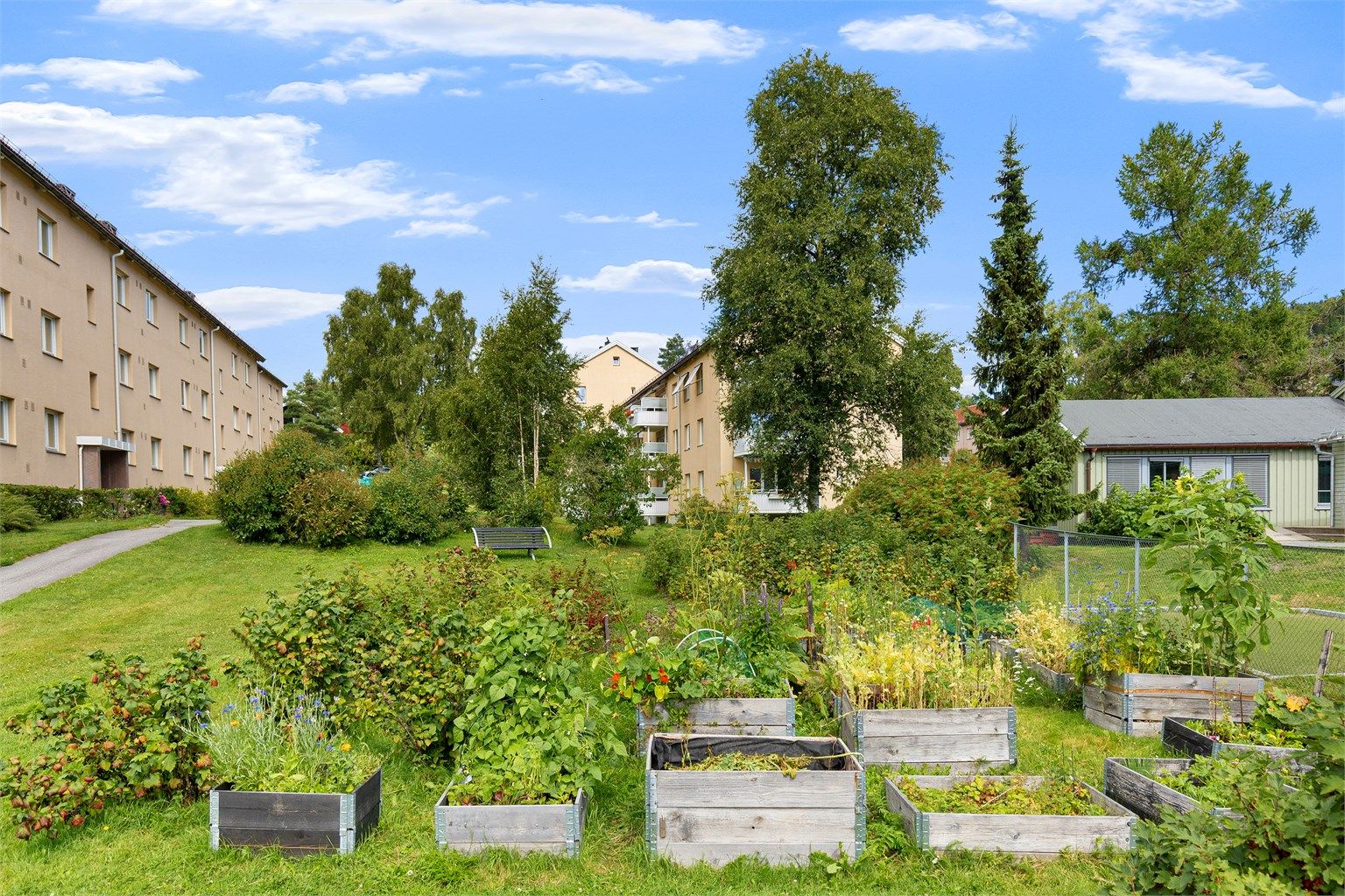 Hagelaget drifter dyrkekasser og bidrar til vedlikehold og utvikling av borettslagets mange bed og fellesområder
