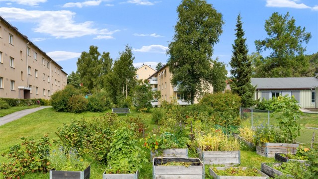 Hagelaget drifter dyrkekasser og bidrar til vedlikehold og utvikling av borettslagets mange bed og fellesområder