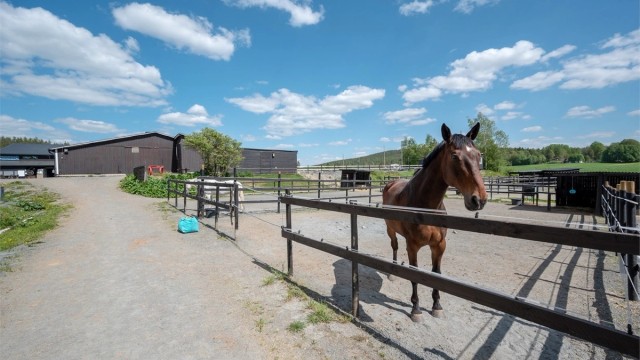 Velkommen til Harkerudveien 98!