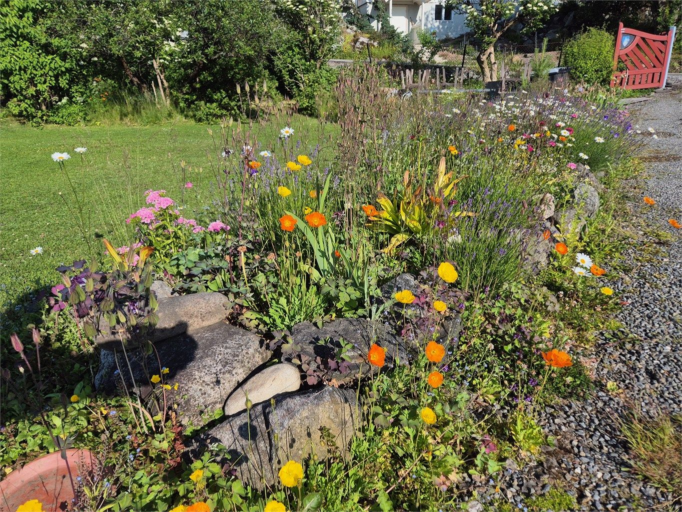 Sommeridyll (privat foto)