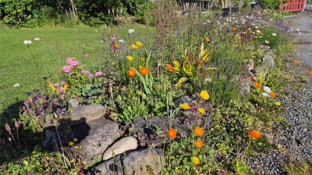 Sommeridyll (privat foto)