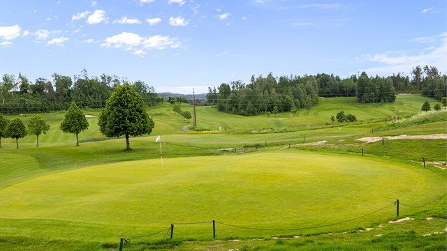 Lerkeveien 10 (46)