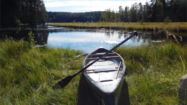 Frister det med en padletur ved myra /Nøklevann?