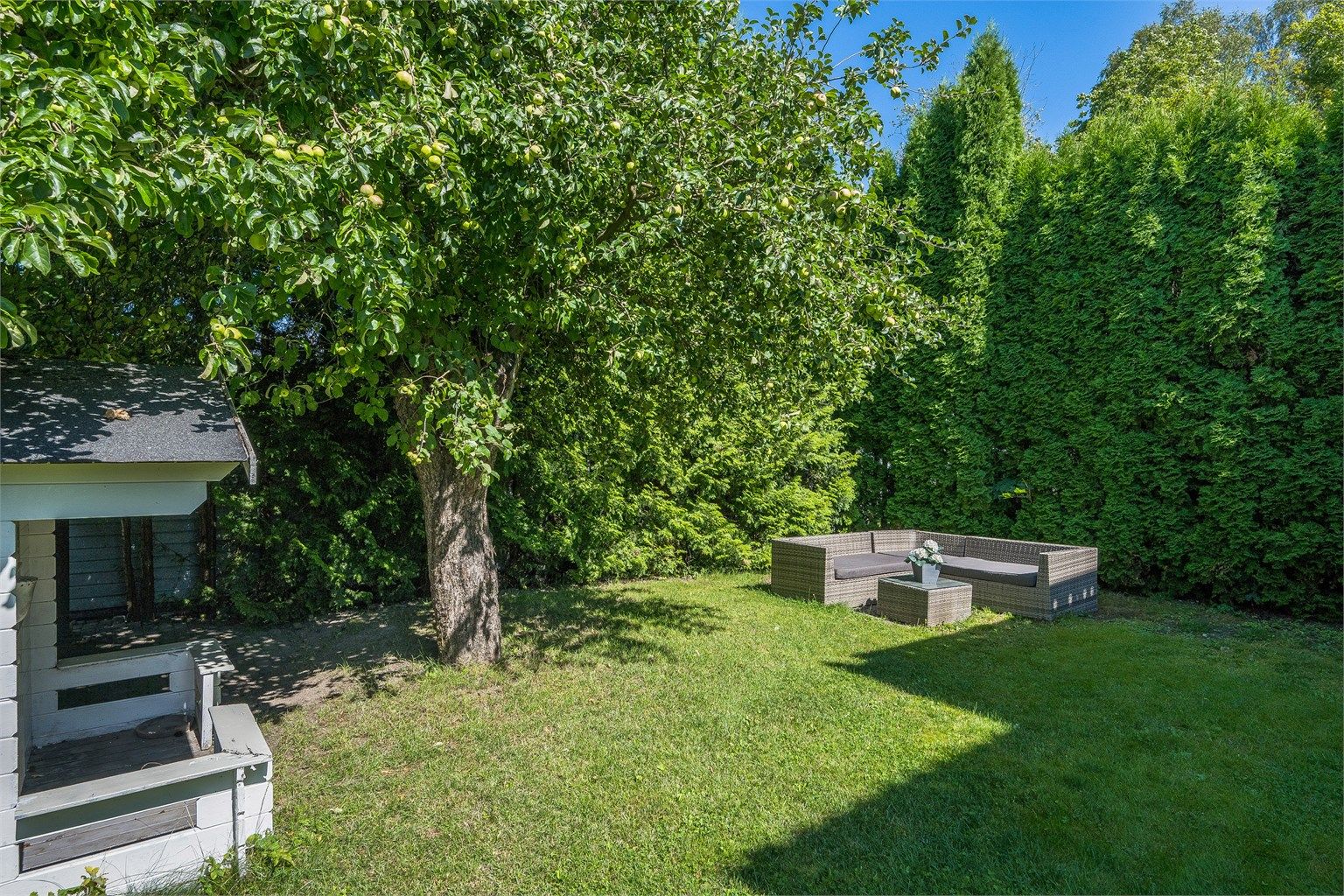 Nydelige uteplasser med pent opparbeidet gressplen. 