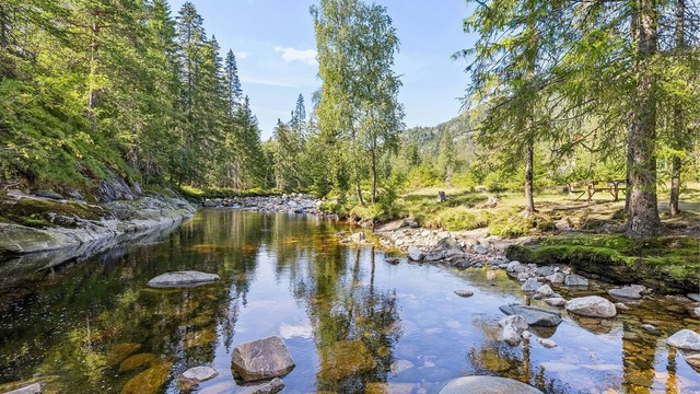Gode fiskemuligheter i elva og i nærliggende tjønn