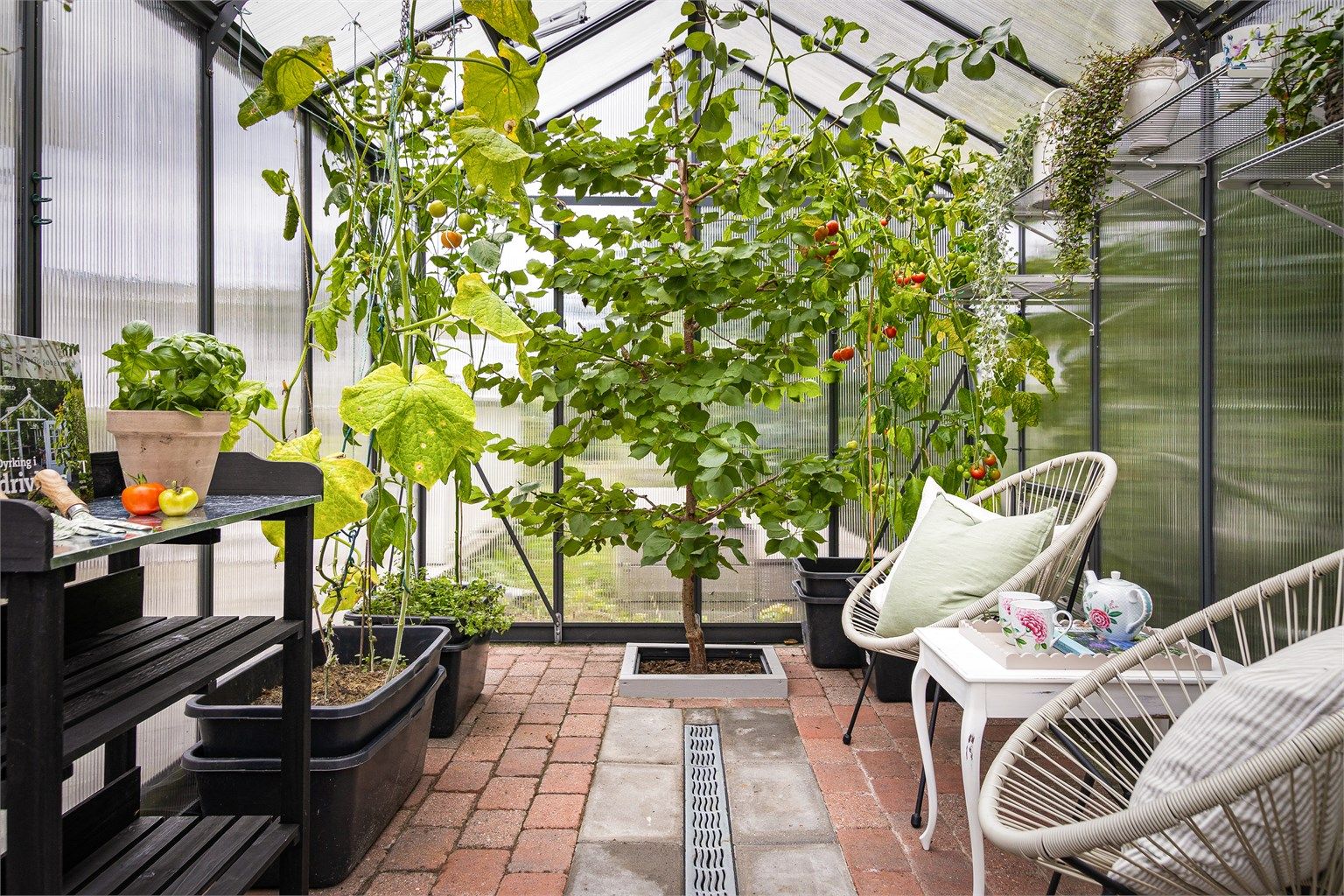 Her kan man dyrke egne grønnsaker, urter og frukt.