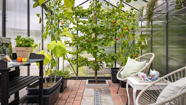 Her kan man dyrke egne grønnsaker, urter og frukt.