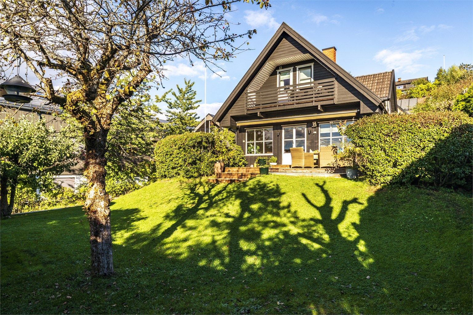 Hage med diverse prydbusker og trær