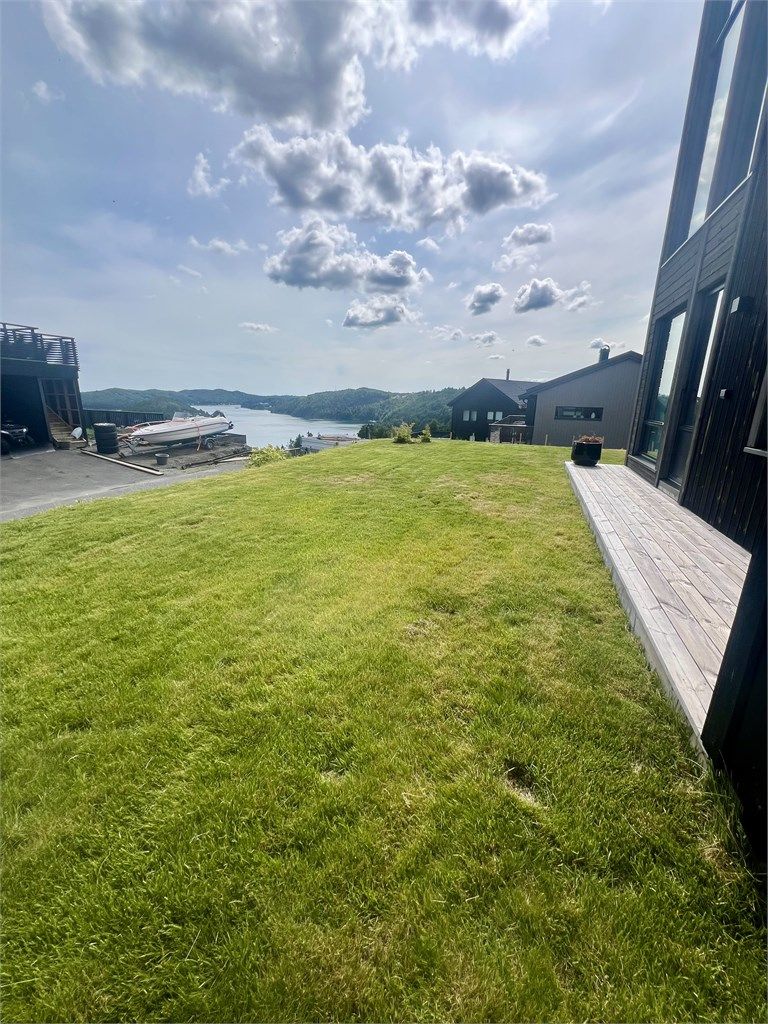 Sommerbilde av plen og markterrasse.