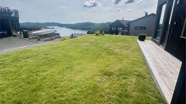 Sommerbilde av plen og markterrasse.