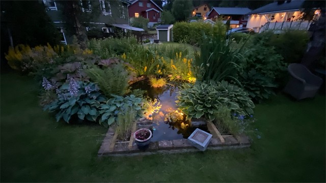 Stemningsbilde fra en sommerkveld
