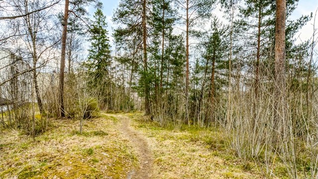 Fra eiendommen er det kort vei til flotte turområder, perfekt for rekreasjon året rundt.