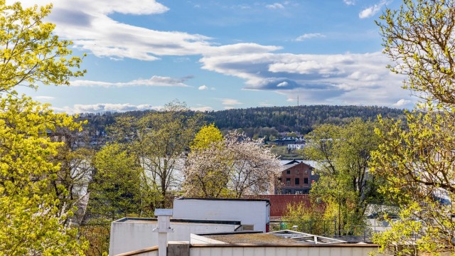 Utsikt fra terrassen over Verket til Mossesundet og Jeløy i vest.