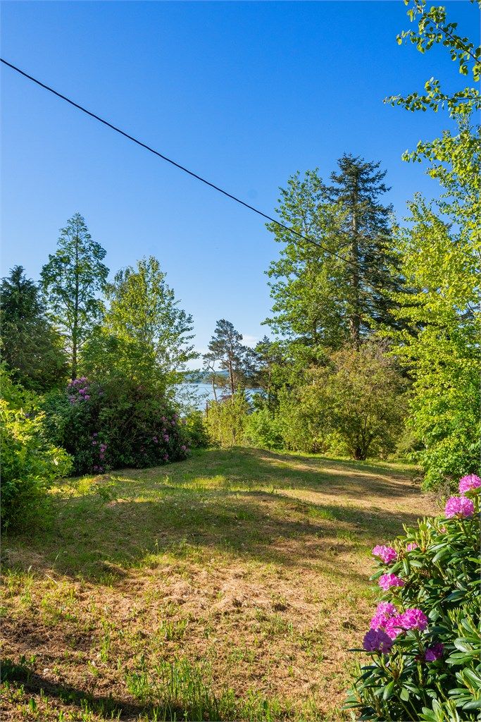 Fra hagen har man et fint glimt av sjøen gjennom vegetasjonen.