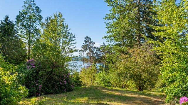Fra hagen har man et fint glimt av sjøen gjennom vegetasjonen.