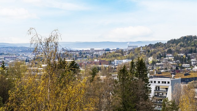 På klare dager kan man se helt til Oslofjorden.