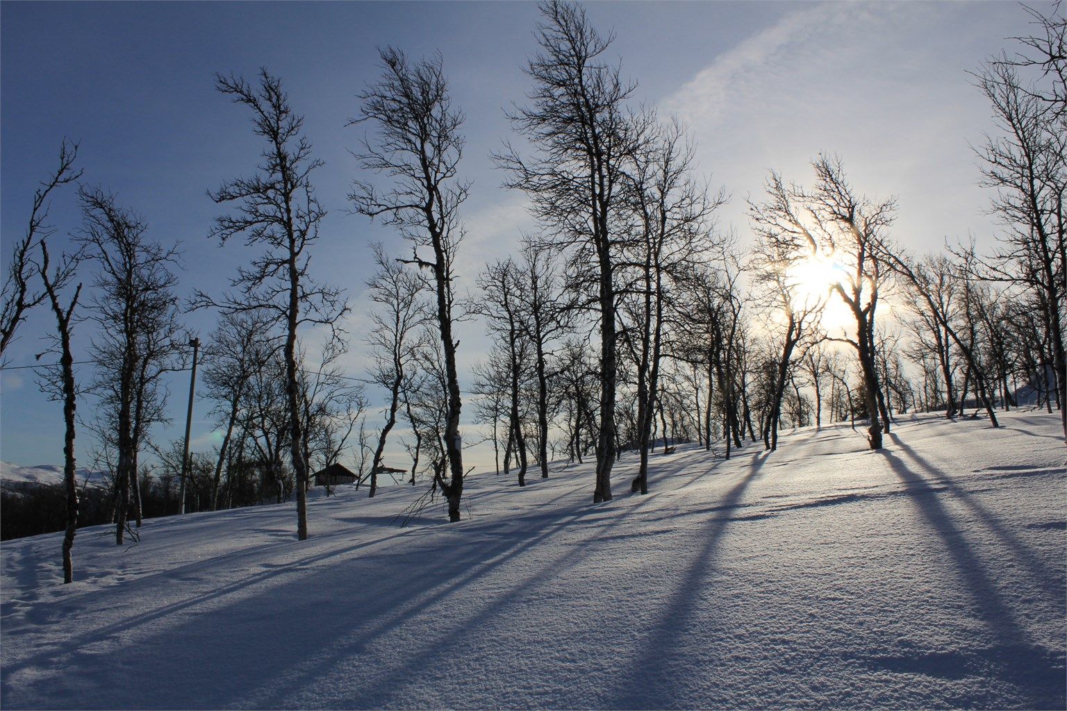 Tomten ligger 7 høydemeter på skå ned for toppen av stolheisen i Uvdal Alpinsenter, helt inntil hovedløypa