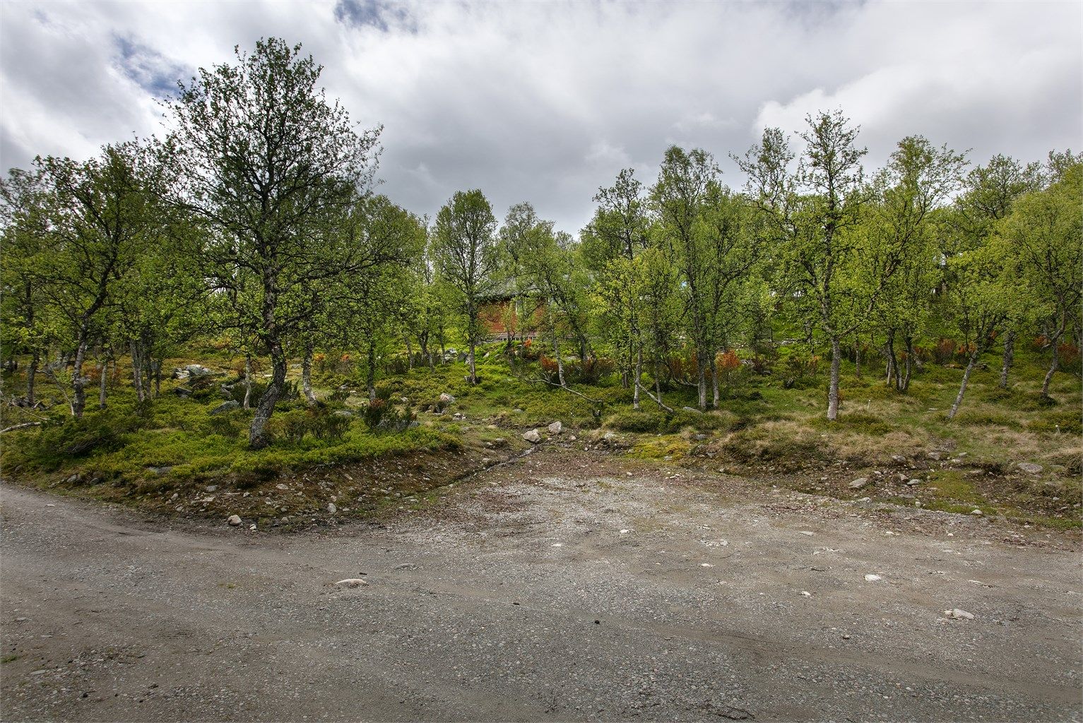 Parkeringsmulighet like nedenfor hytten