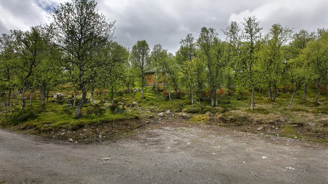 Parkeringsmulighet like nedenfor hytten