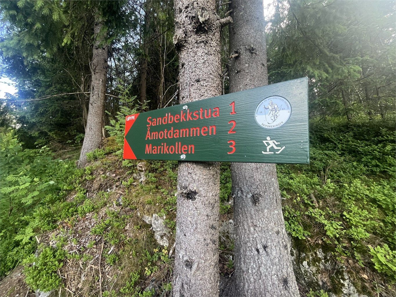 I Ræringåsen kan du gå mange fine fotturer, og videre inn til Østmarka.