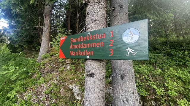 I Ræringåsen kan du gå mange fine fotturer, og videre inn til Østmarka.