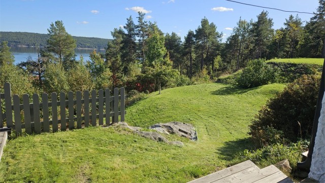Selgers foto