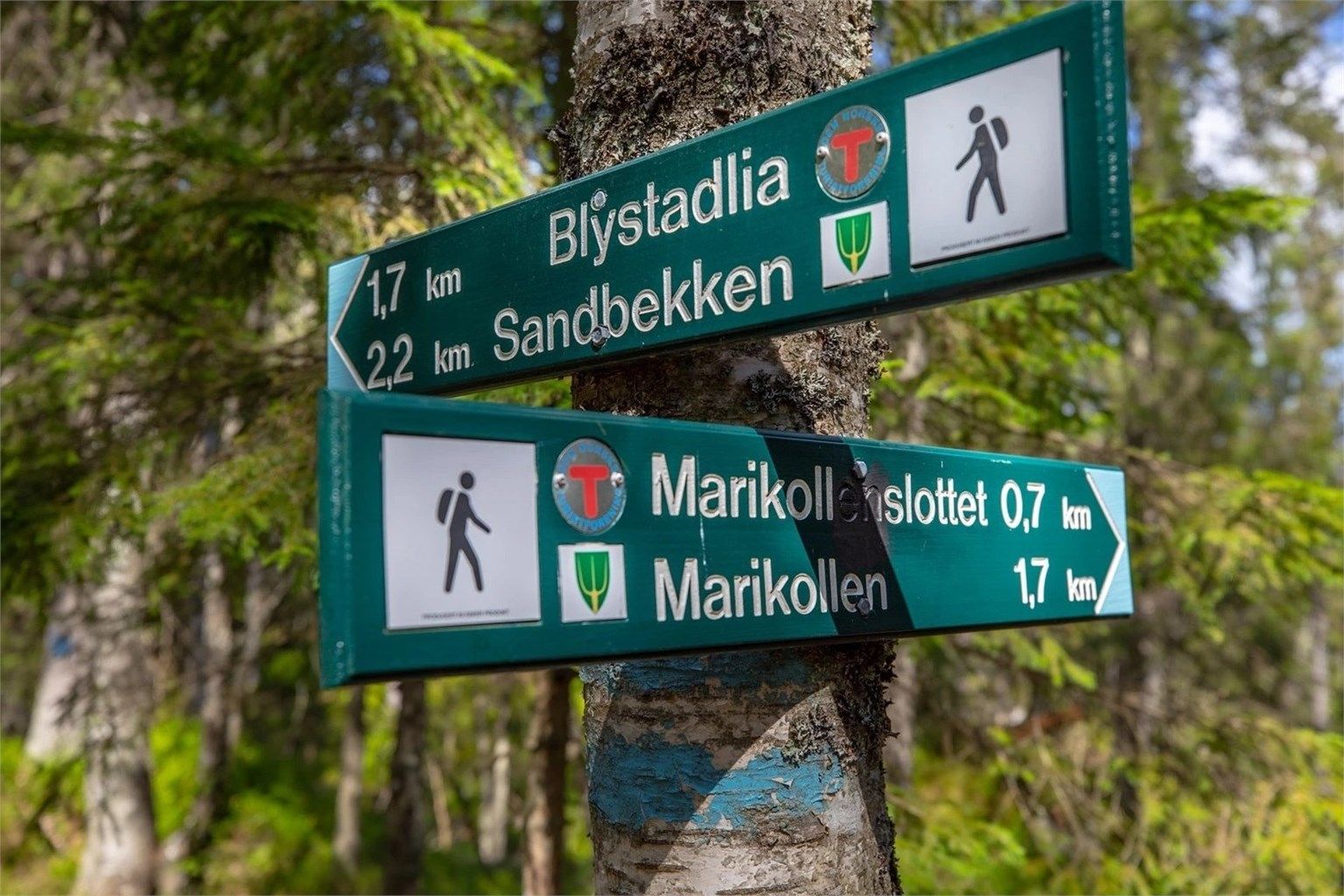 Gode turmuligheter i området.