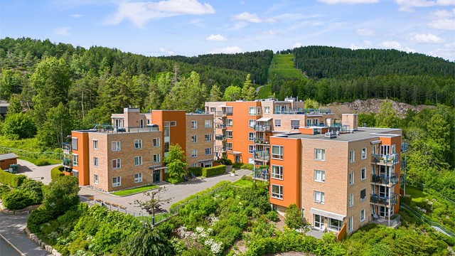 Sameiet har marka som nærmeste nabo!