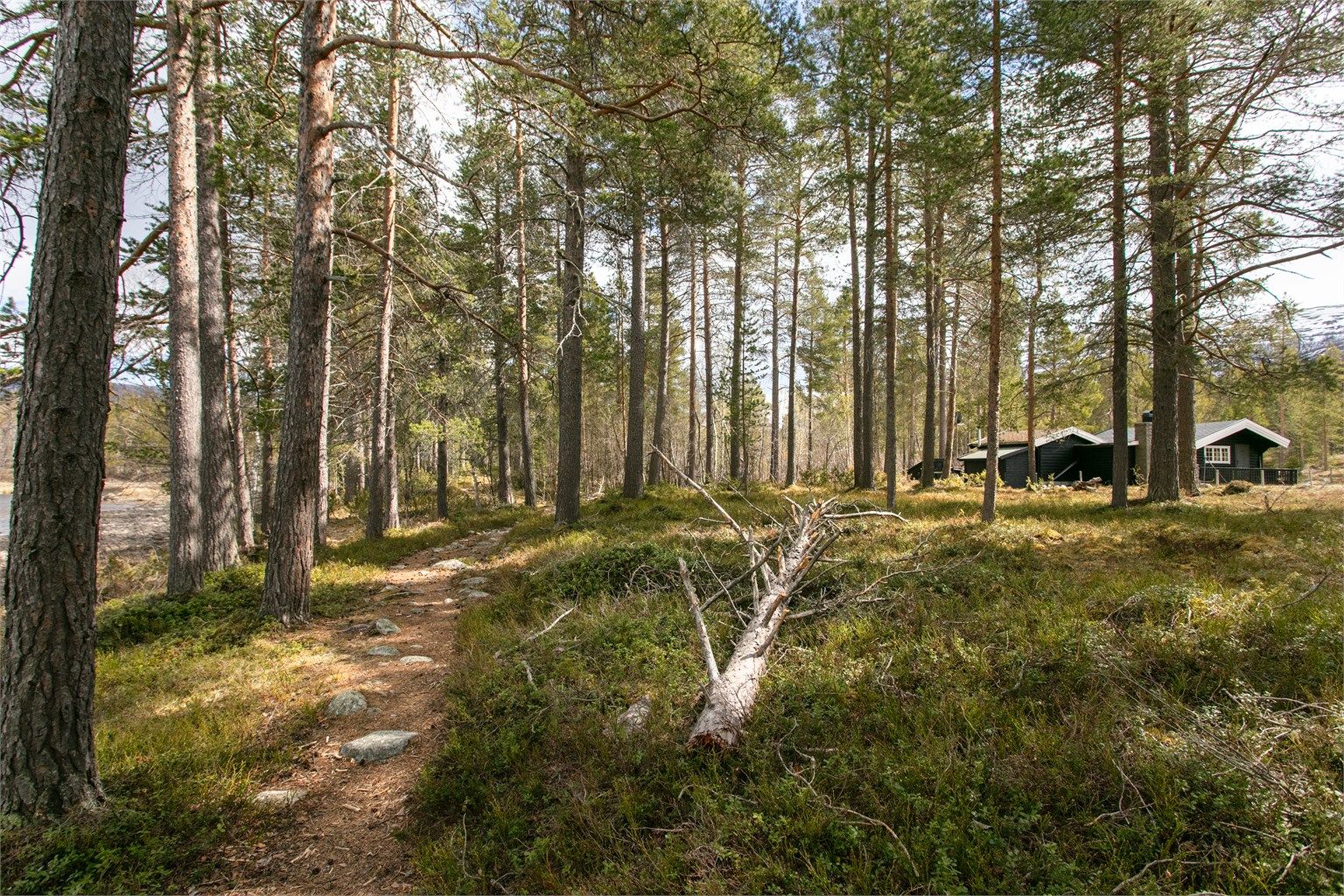 Turstier starter rett utenfor døren og leder inn i et stort turområde.