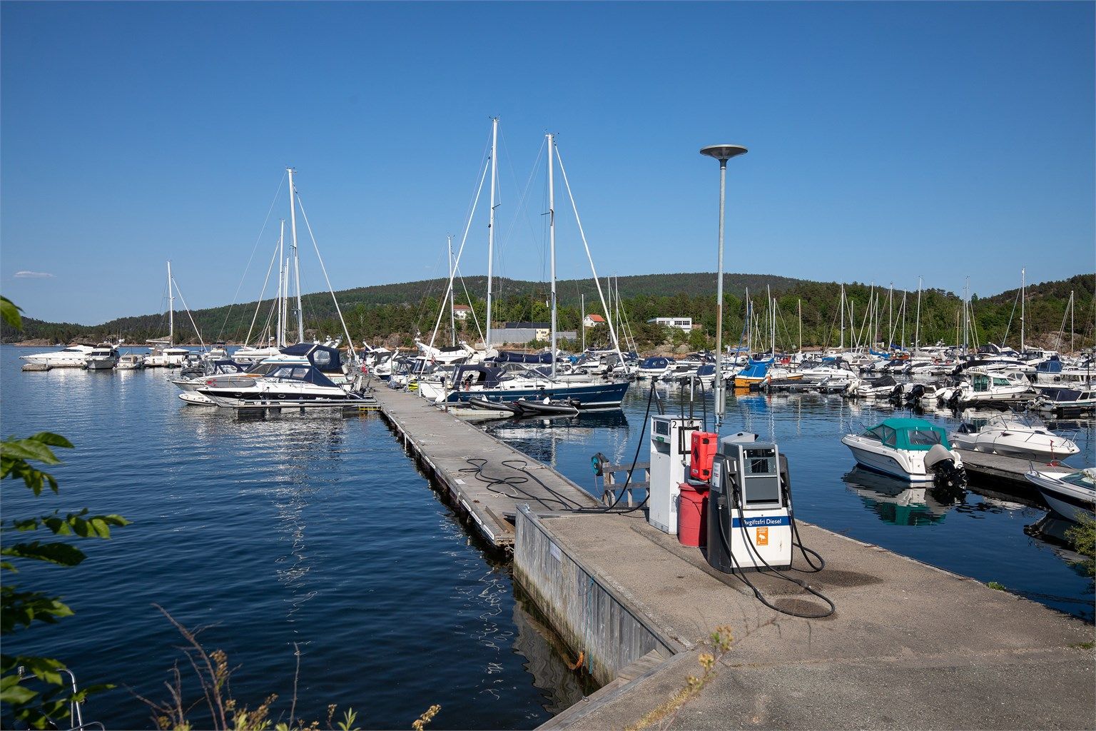 Ved havna er det et yrende liv om sommeren