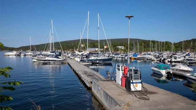 Ved havna er det et yrende liv om sommeren