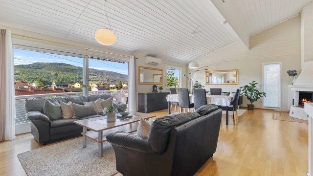 Rommet har høy takhøyde (opptil 4,16 m). Godt lys i stuen og utgang til stor terrasse med flott utsikt.