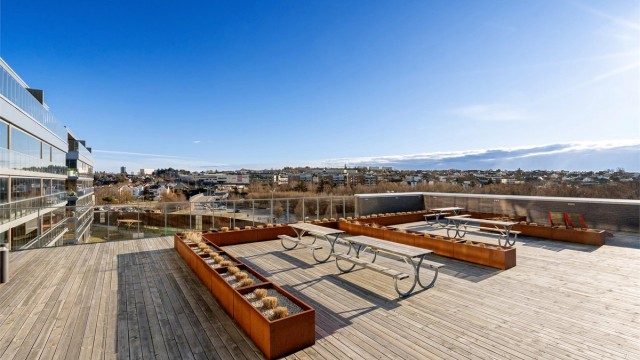 Felles takterrasse.
