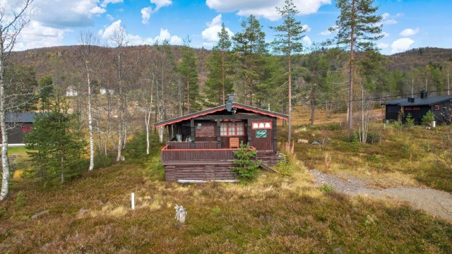 Velkommen til Geiskelidvegen 56