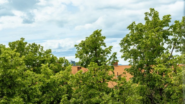 Høyt og fritt uten innsyn på sommeren.