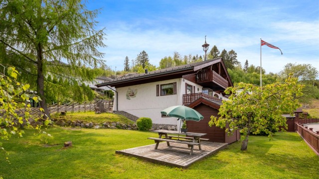 Ved siden av dukkestua i hagen vokser et lite morelltre.