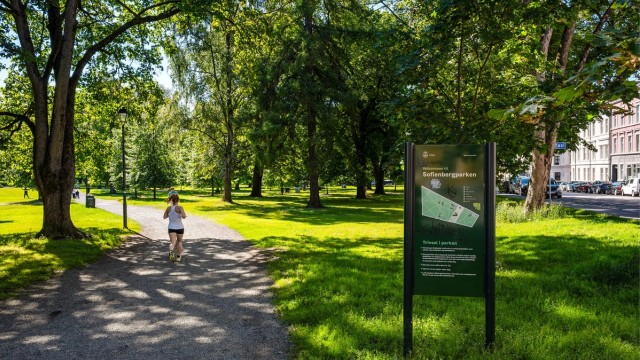 Et steinkast fra leiligheten finner du idylliske Sofienbergparken, Birkelunden, Akerselva med grøntområdene rundt, Kubaparken med mer.