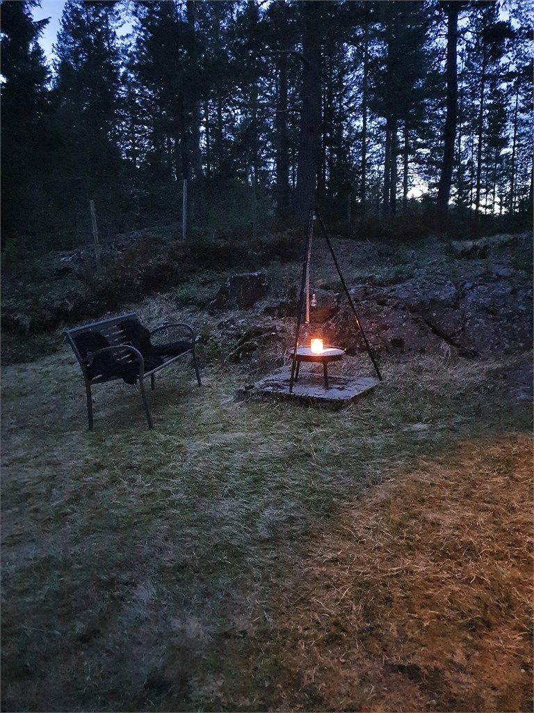 Kveldsbilde