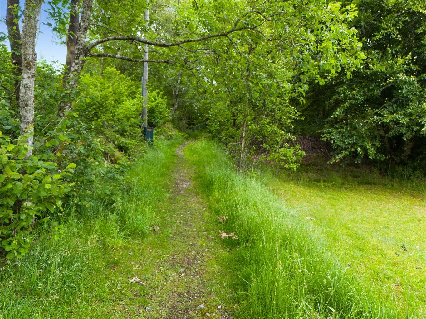 Sti opp til tomtegrense.