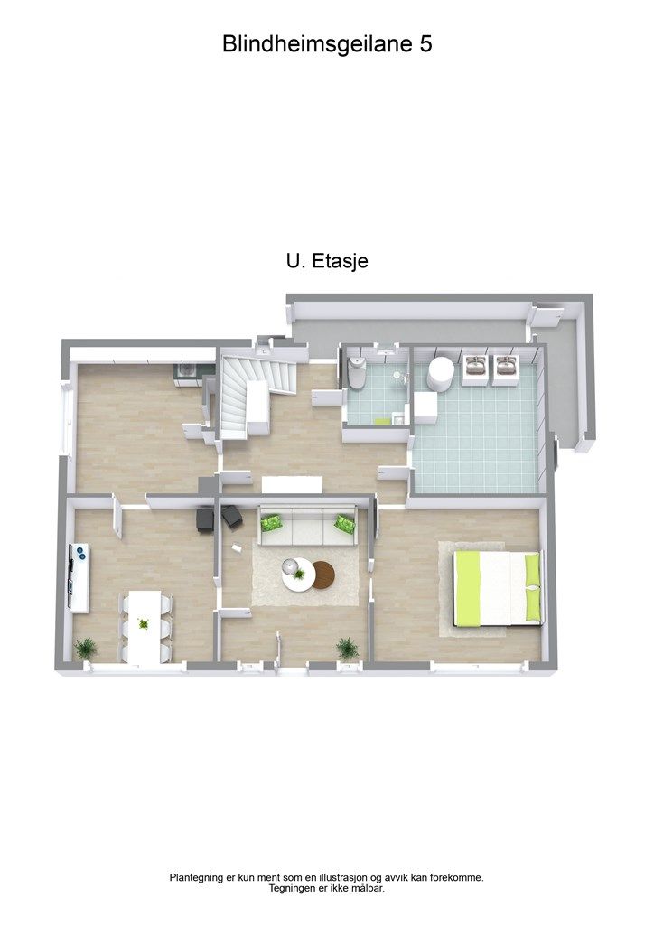 3 D plantegning underetasjen