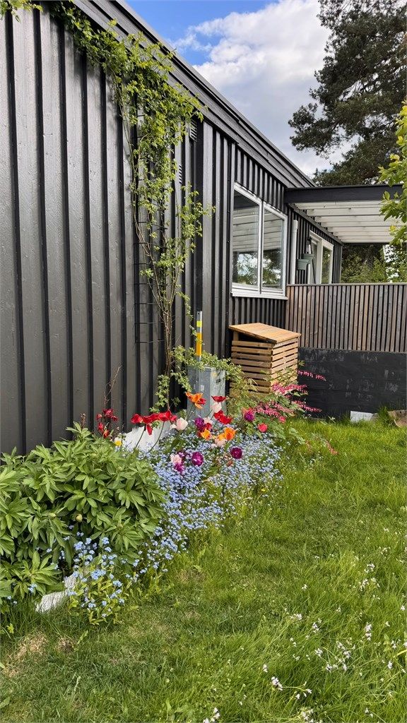 Blomstrende beplantning og bed langs boligens fasade.