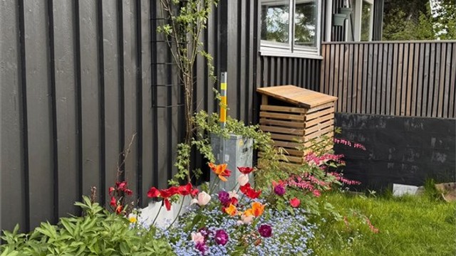 Blomstrende beplantning og bed langs boligens fasade.