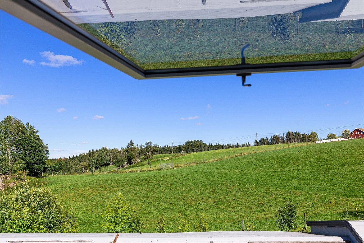 Utsikt fra soverommet med hjort som nære naboer