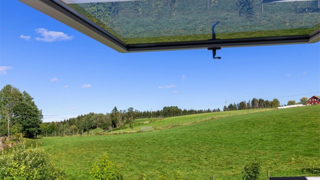 Utsikt fra soverommet med hjort som nære naboer