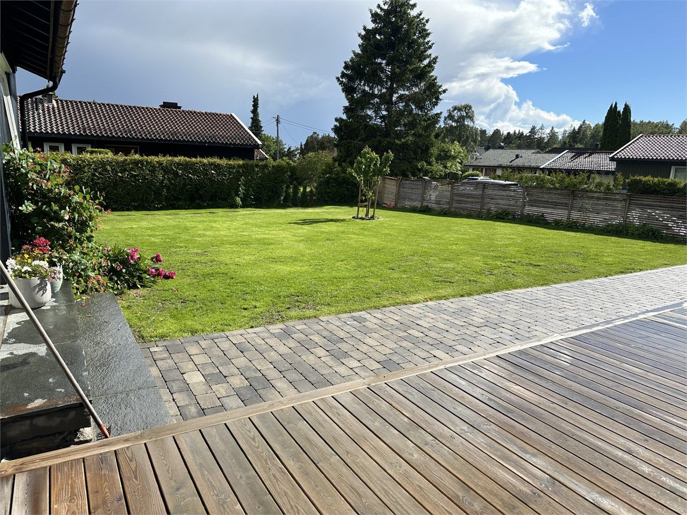 Selgers private sommerbilde